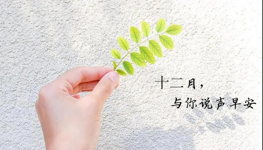 十二月文案圖片