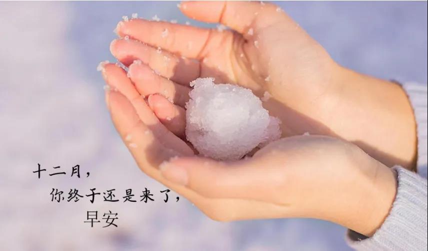 十二月文案配圖