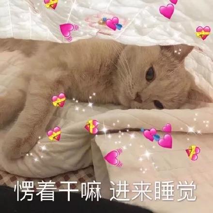 虎狼之詞文案合集