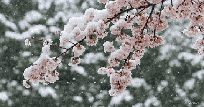 大雪節氣的詩歌