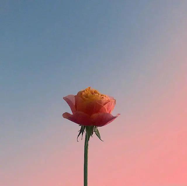 讓人瞬間沉默的現(xiàn)實句子 讓人瞬間沉默的現(xiàn)實句子