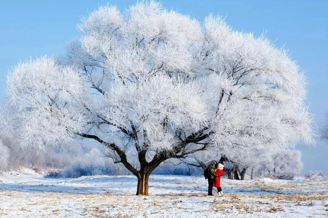 關于初雪的唯美文字