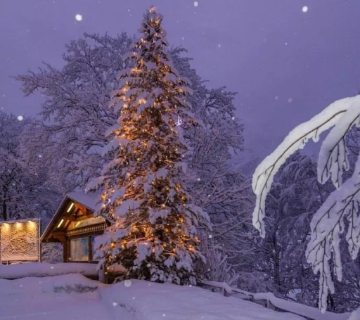 發朋友圈下雪高端句子