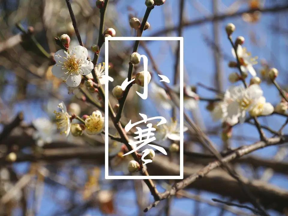 小寒節氣早安心語 暖心問候語