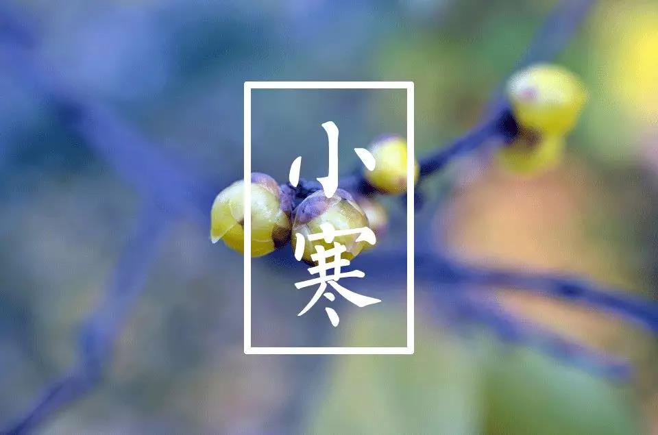 小寒節氣短信祝福