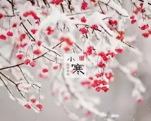 小寒節氣唯美圖片 小寒發圈的句子