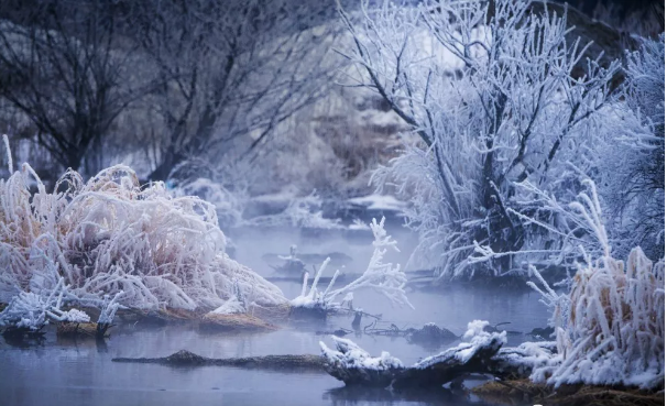 下雪說說心情短語第一場(chǎng)下雪的說說
