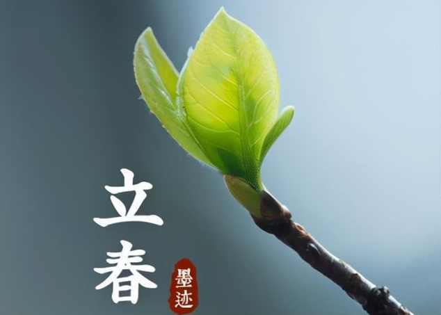 立春句子說說