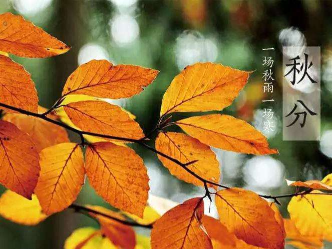 關于秋分的優美詩詞匯總