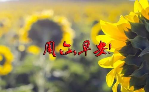 適合周六發朋友圈的句子 表達周六日心情的句子 適合周六發朋友圈的句子 表達周六日心情的句子