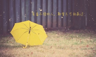 放棄愛(ài)情的句子、說(shuō)說(shuō)