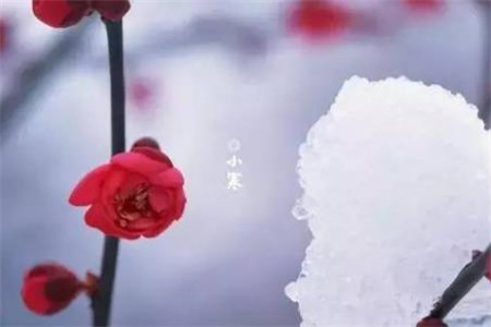 小寒節氣優美的詩句