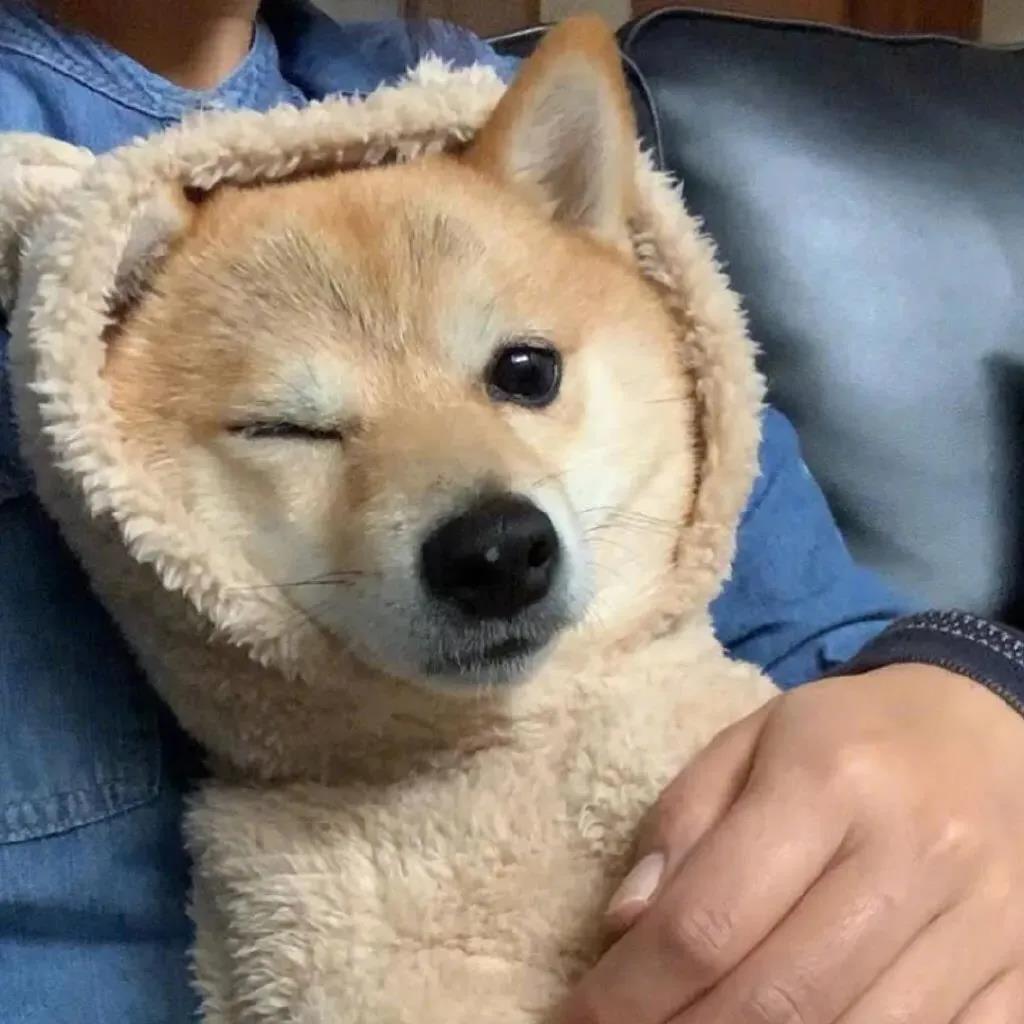 優雅氣質經典短句