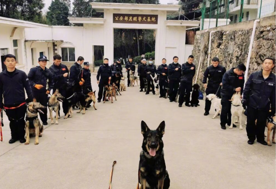 贊美警察的經典句子  警察節的朋友圈文案說說