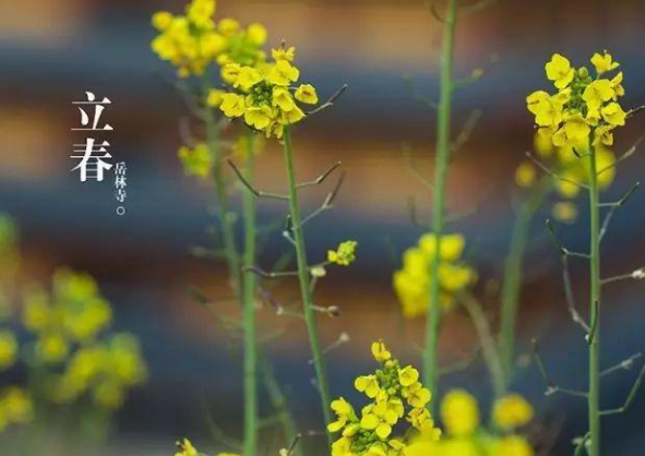 立春發(fā)的文案