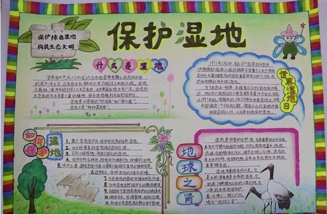 濕地日主題手抄報內容大全 濕地日的來源及意義 濕地日主題手抄報內容大全 濕地日的來源及意義