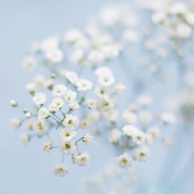 再聚發小的友情的句子