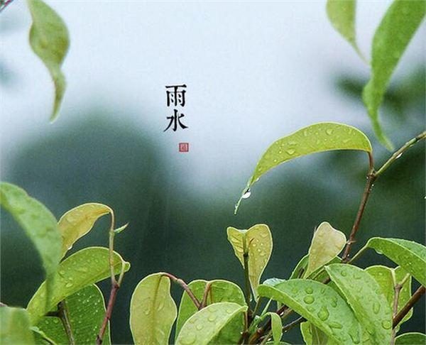 雨水節氣的朋友圈說說