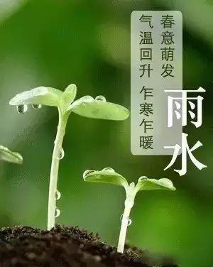 二十四節氣雨水的詩句