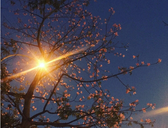 給忙碌的人的暖心文案 給忙碌的人的暖心文案