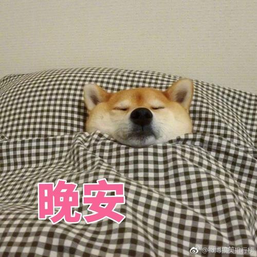 給疲憊的自己說晚安一句話 給疲憊的自己說晚安一句話