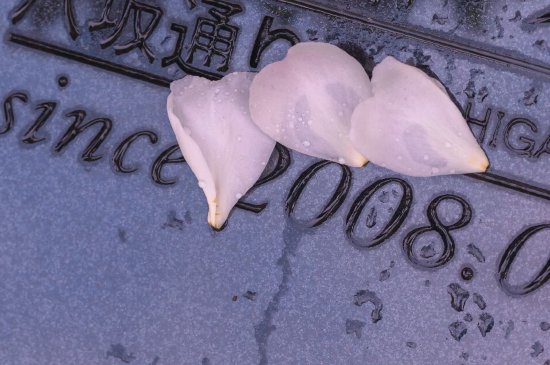 關于下雨的文案