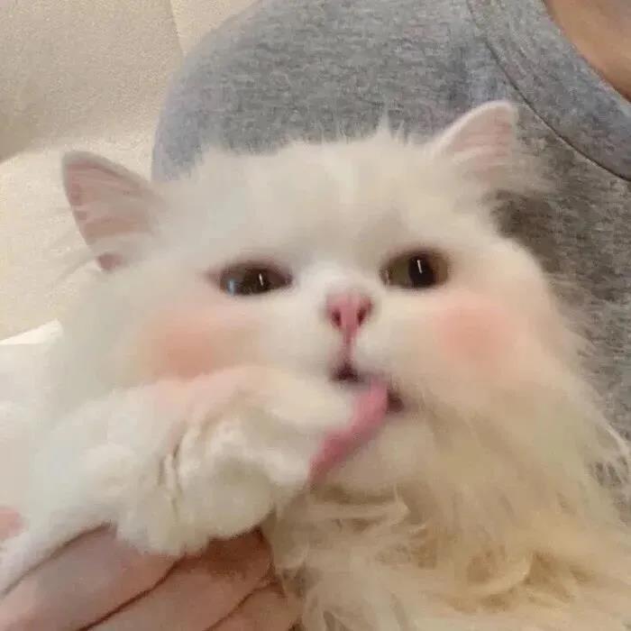 說說簡單氣質一句話暖暖的說說