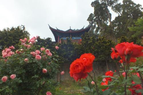 關于友情自私的句子 關于友情自私的句子