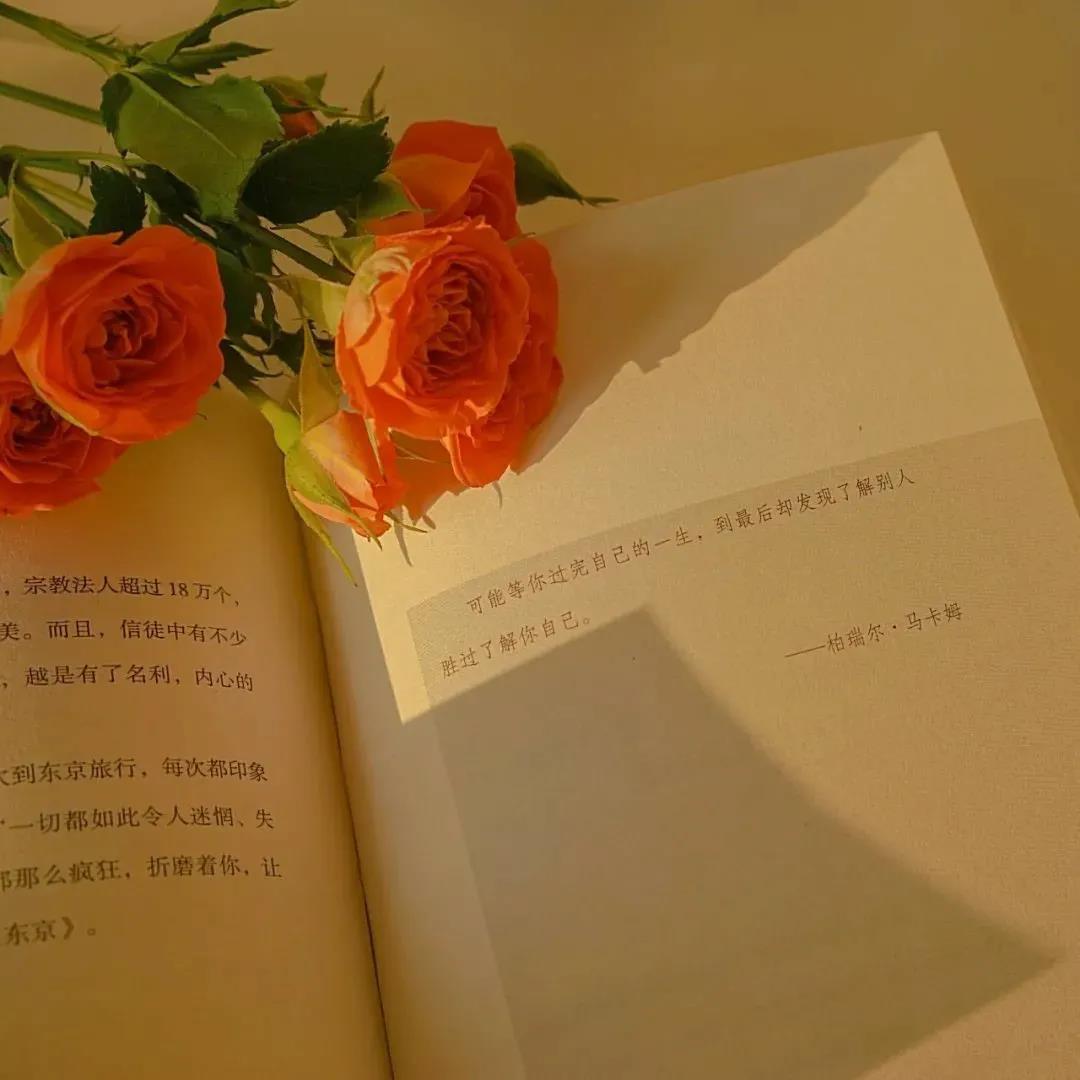 高質量熱搜文案句子