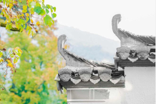 情人節(jié)的詩句