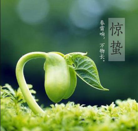 關(guān)于驚蟄節(jié)氣10字詩句