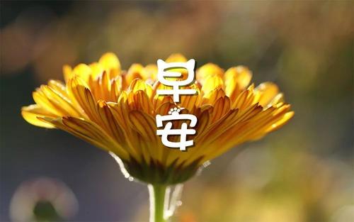 新穎的早安問候語 新穎的早安問候語