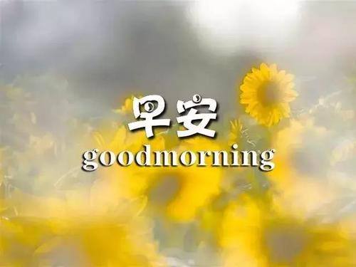 簡單早上好問候短信