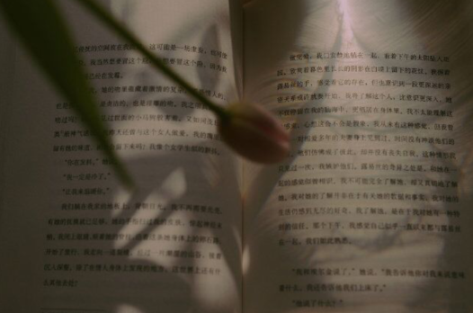 一些簡短卻很驚艷的文案
