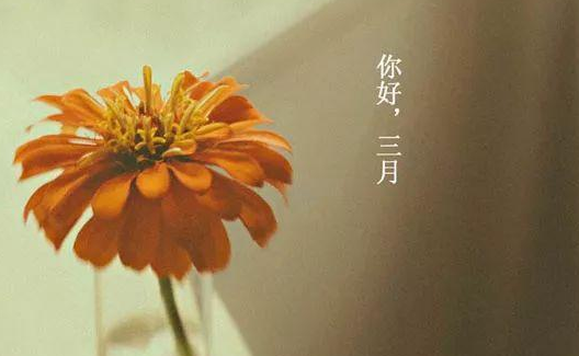 三月勵(lì)志簡短語錄