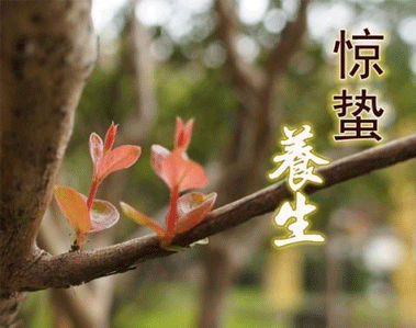 驚蟄簡(jiǎn)短祝福語說說