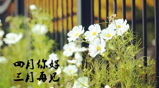 四月你好文字圖片