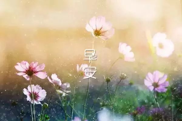 早安2022正能量簡(jiǎn)單一句話 早安2022正能量簡(jiǎn)單一句話