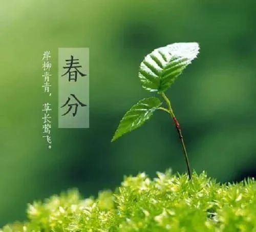 關于春分節氣的優美句子