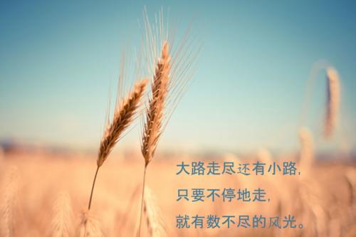 超級有個性勵志的句子