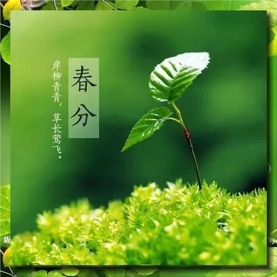 描寫春分時節的詩句
