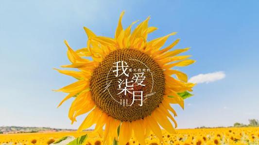 七月唯美的句子說說心情 七月唯美的句子說說心情