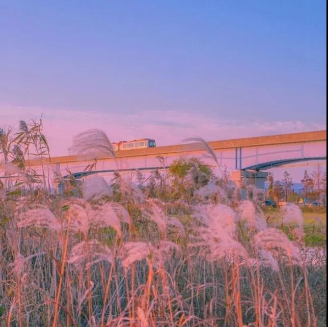 適合發朋友圈的短句子 適合發朋友圈的短句子