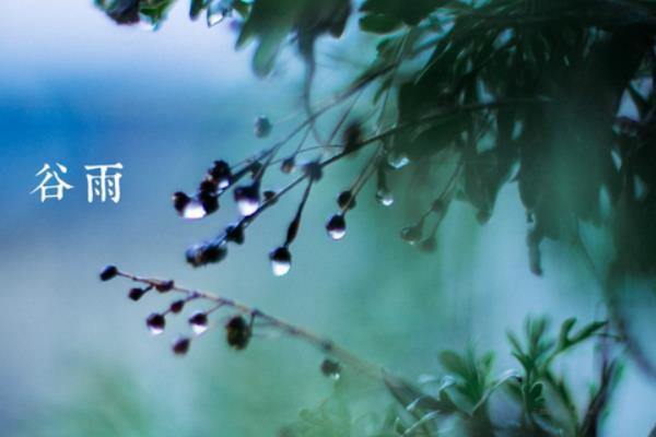 谷雨節氣的詩句