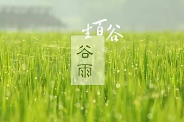 谷雨節氣發的朋友圈