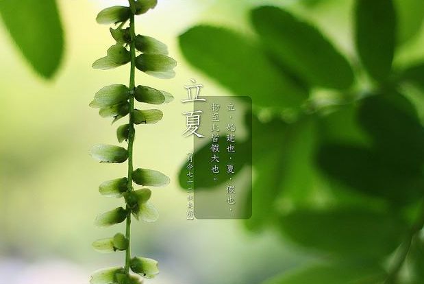 關(guān)于立夏的美好詩(shī)句