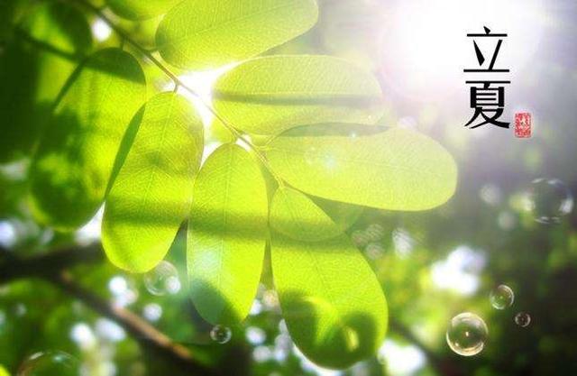 贊美立夏的詩(shī)句