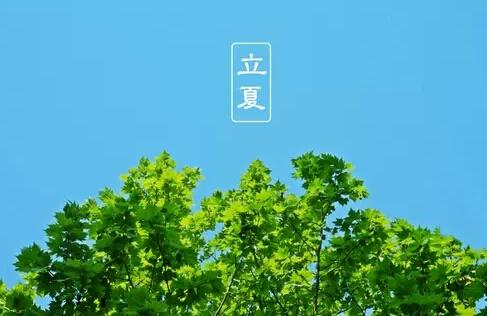 描寫立夏的優美句子