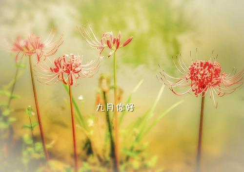 八月再見9月你好祝福語 八月再見9月你好祝福語