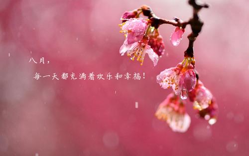 八月的句子短句唯美 八月的句子短句唯美